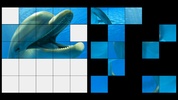 Dolphins LWP + Games Puzzle screenshot 5