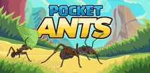 Pocket Ants feature