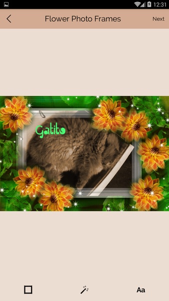 Flower Photo Frames - Preview 12