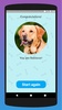 What dog breed are you? Test screenshot 2