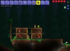 Terraria screenshot 2