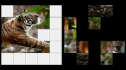 Pretty Animals Puzzle + LWP screenshot 6