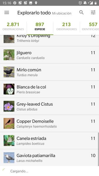 iNaturalist - Preview 1