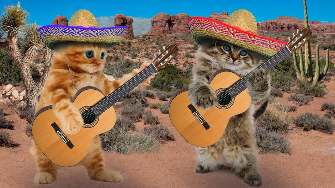Funny Talking Cats - Preview 6