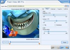 Flash Video MX Pro screenshot 5