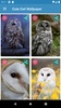 Cute Owl Wallpaper screenshot 5