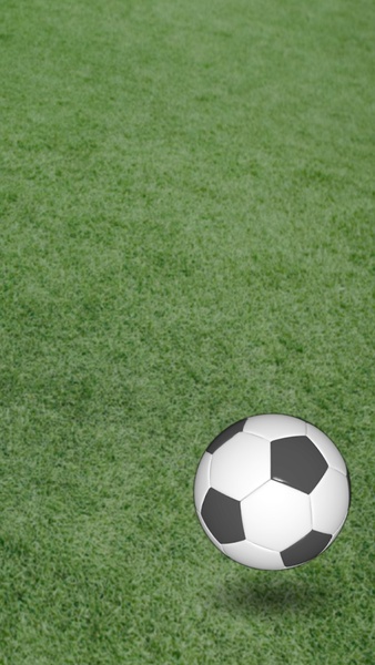 Top Scorer 2 - Preview 18