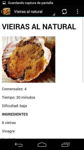 Recetas de cocina - Preview 5