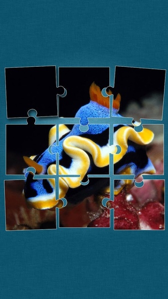 Under the Sea Jigsaw Puzzles - Preview 11