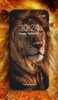 Lion Wallpaper screenshot 7