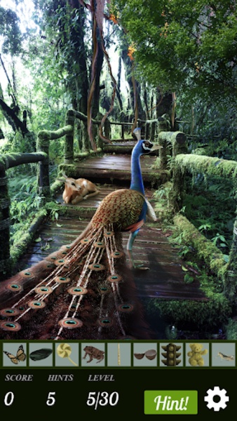 Hidden Object - Journey Into The Wilderness FREE - Preview 2