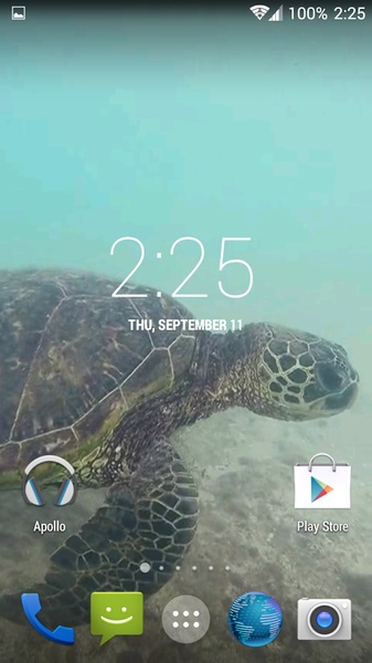 Sea Turtle HD. Wallpaper - Preview 8