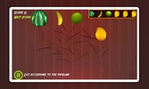 Fruit Slasher screenshot 18