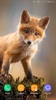 Cute Animals Wallpaper screenshot 11