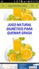 Jugos Batidos para Perder Peso screenshot 5