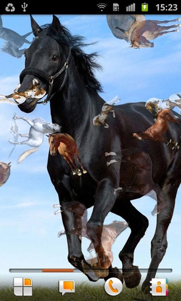Horse Pictures Live Wallpaper - Preview 2