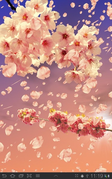 Sakura Free - Preview 3