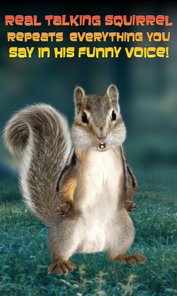 Talking Squirrel - Preview 4