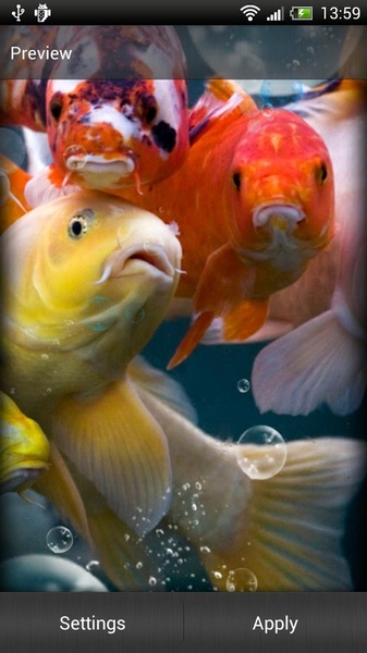 Koi Fish Live Wallpaper - Preview 5