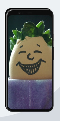 Funny Wallpapers OurcreativeApps Screenshot