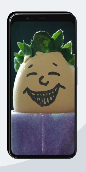 Funny Wallpapers OurcreativeApps - Preview 2