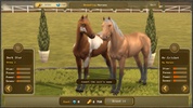 Jumping Horses Champions 3 screenshot 18