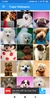 Puppy Wallpapers: HD images, Free Pics download screenshot 5