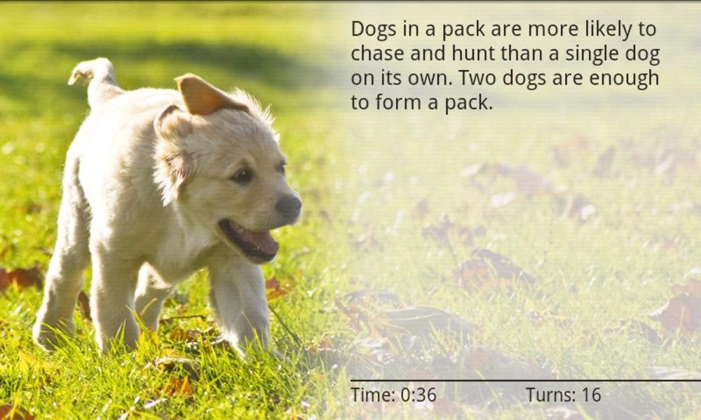 Dogs Memory Free - Preview 1