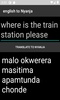 english to Nyanja translator screenshot 1