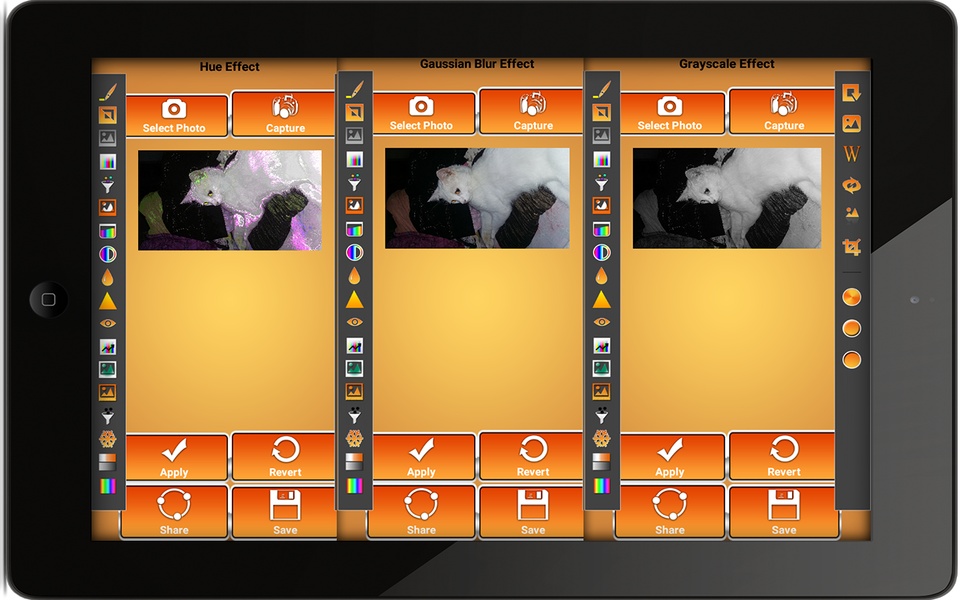 Perfect Photo Editor - Preview 1