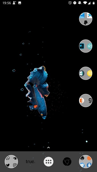 Betta Fish Live Wallpaper - Preview 7