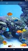 Aquarium Fish Live Wallpaper screenshot 1