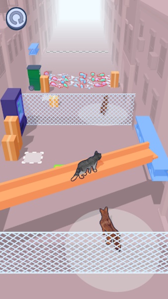 Stray Cat - Preview 2