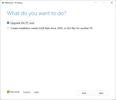 Windows 10 Media Creation Tool screenshot 1