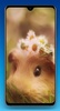 Guinea Pig Wallpaper HD screenshot 5