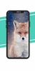 fox Wallpaper screenshot 3