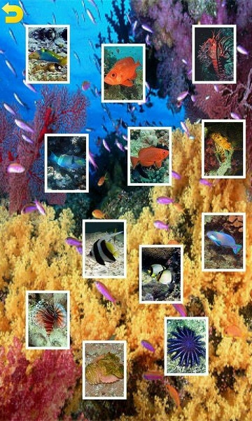 Ocean Puzzle - Preview 6