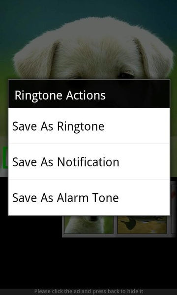 Animal Sounds & Ringtones - Preview 1