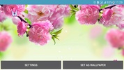 Spring Live Wallpapers screenshot 1