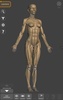 3D Anatomy for the Artist screenshot 7
