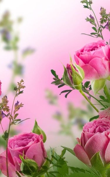 Pink Flowers Live Wallpaper - Preview 4