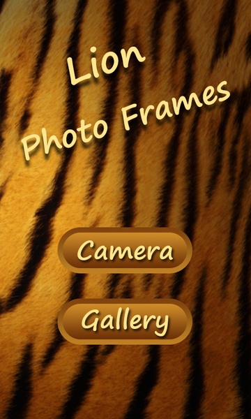 Lion Photo Frames - Preview 7