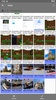 Microsoft OneDrive screenshot 14