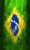 Brazil Flag screenshot 1