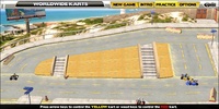 World Wide Karts screenshot 3