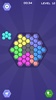 Hex Blocks Puzzle screenshot 15