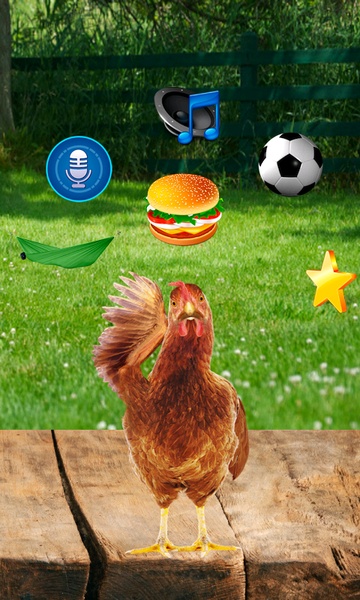 Real Talking Chicken - Preview 6
