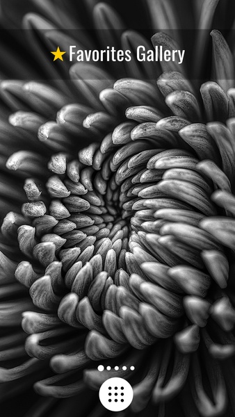 Black And White Wallpapers - Preview 3