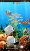 The real aquarium - LWP screenshot 10