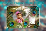 Peacock Feather Photo Frames screenshot 1